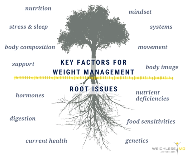 Weight Loss Brookfield WI Key Factors For Weight Management And Root Issues